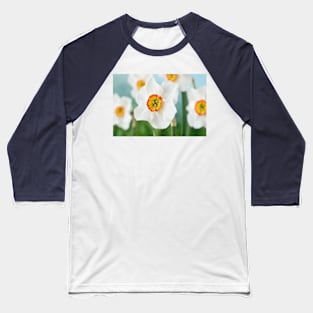 Narcissus  &#39;Felindre&#39;    Div.  9 Poeticus  Daffodil Baseball T-Shirt